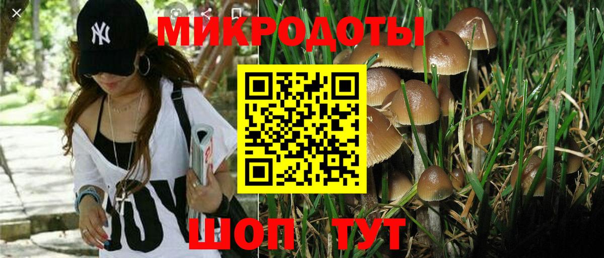 Псилоцибиновые грибы мицелий  где можно купить наркотик  Гатчина  Вход с VPN 