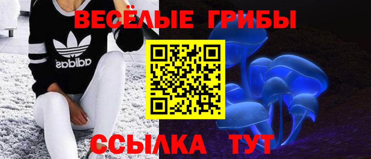 Галлюциногенные грибы Psilocybe Гатчина